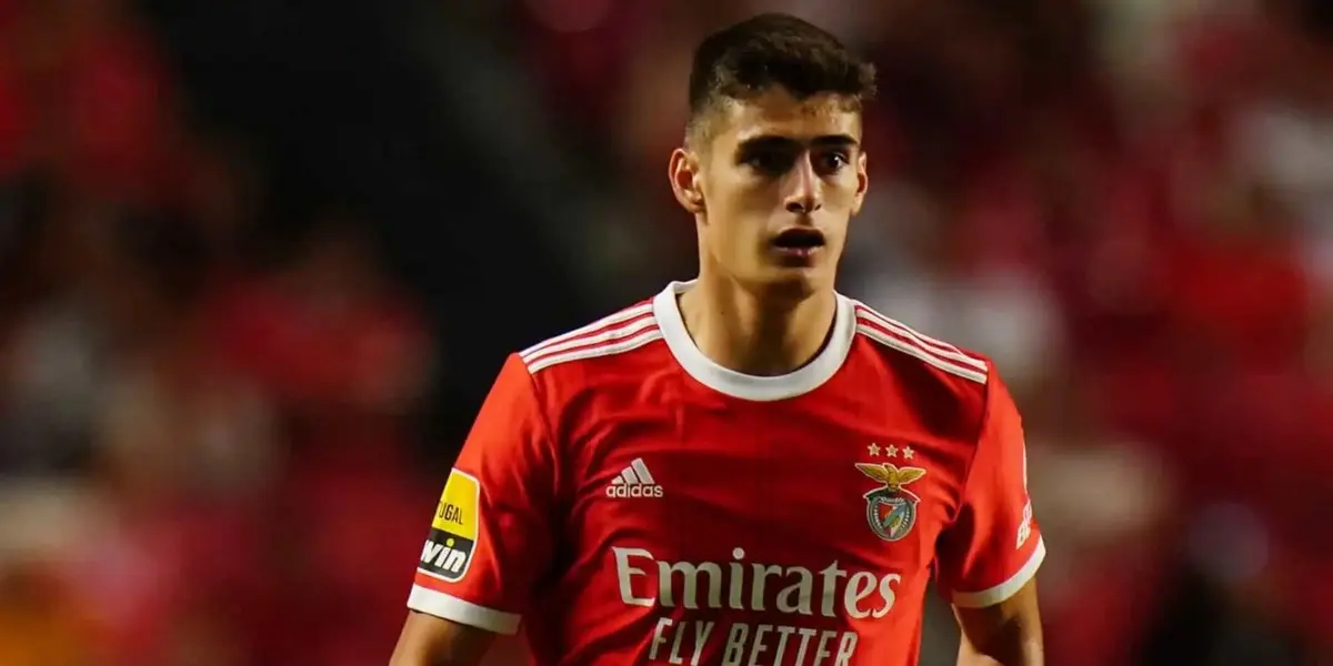 This player could be persuaded to join Manchester United, he has had a great season with Benfica.