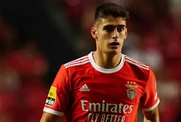 This player could be persuaded to join Manchester United, he has had a great season with Benfica.